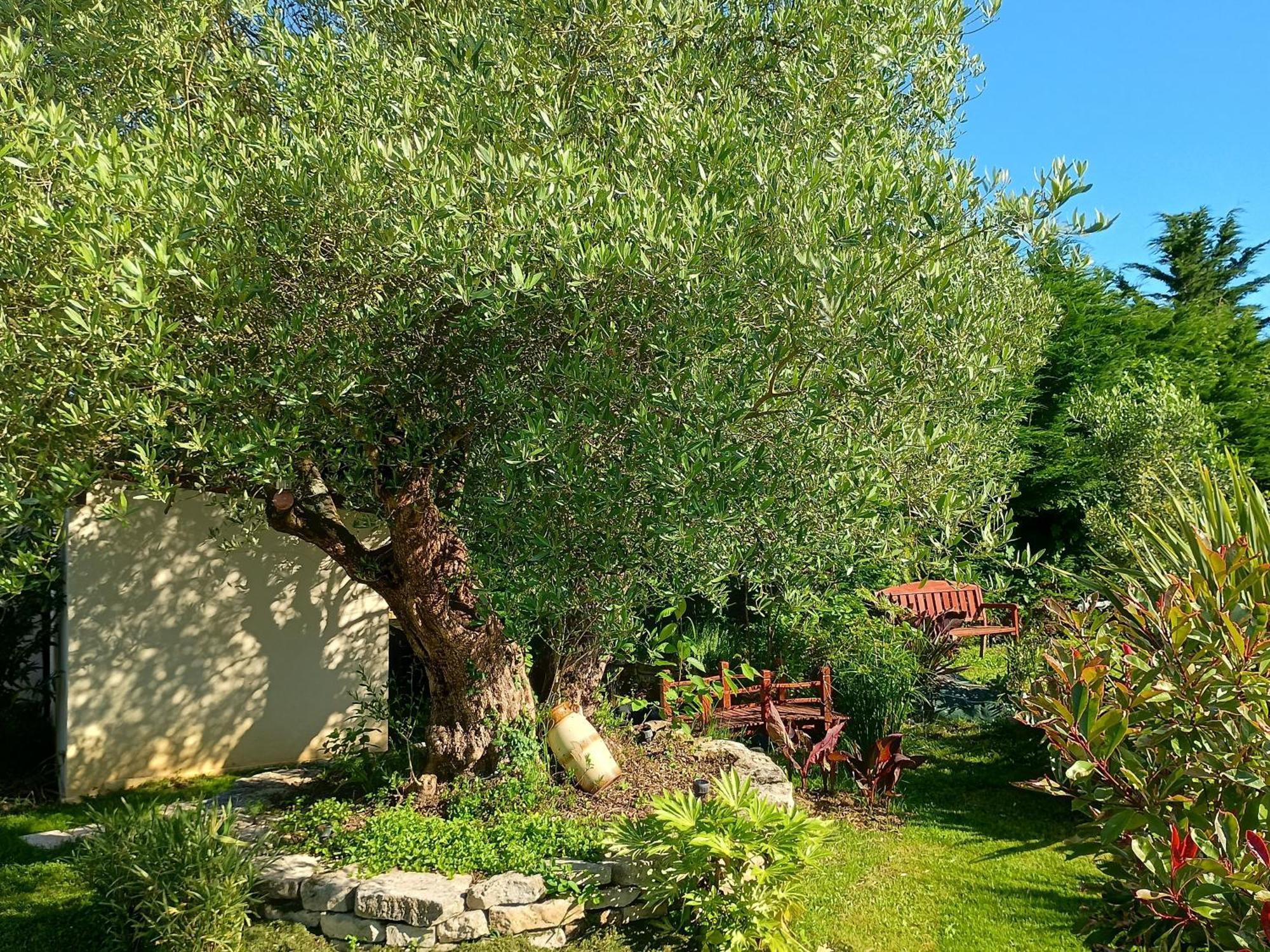 Gite Les Rosiers Au Domaine Des Sauvineries Saint-Germain-de-Princay ภายนอก รูปภาพ